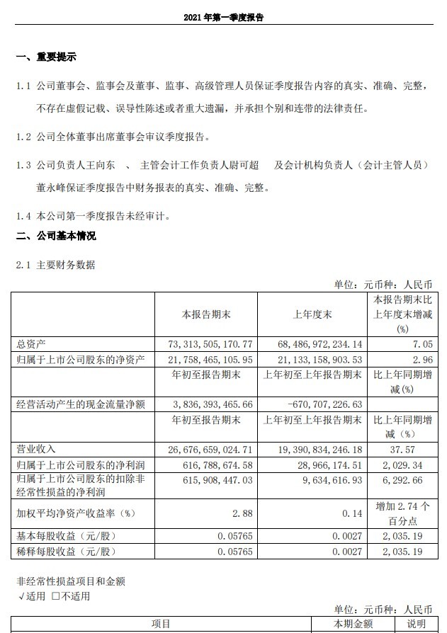 отчет Shandong Iron and Steel Company Ltd.jpg